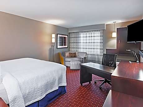 Room, 1 King Bed with Sofa bed (Hearing Accessible) (1 King Bed and 1 Double Sofa Bed)