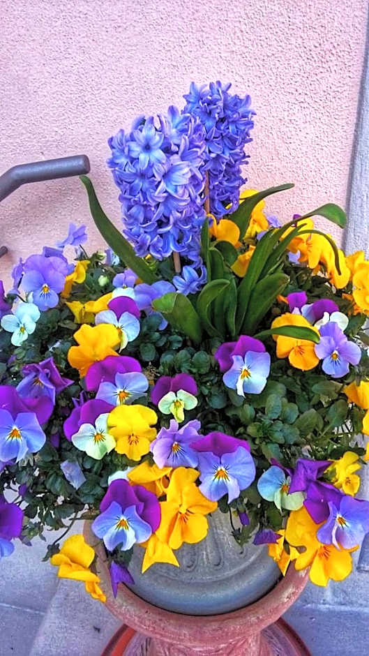 B&B "La Pieve" - Locanda per Viandanti