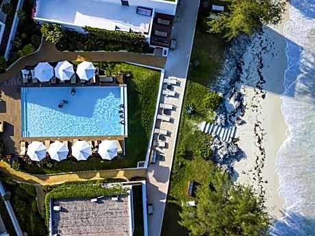 Nungwi Dreams by Mantis