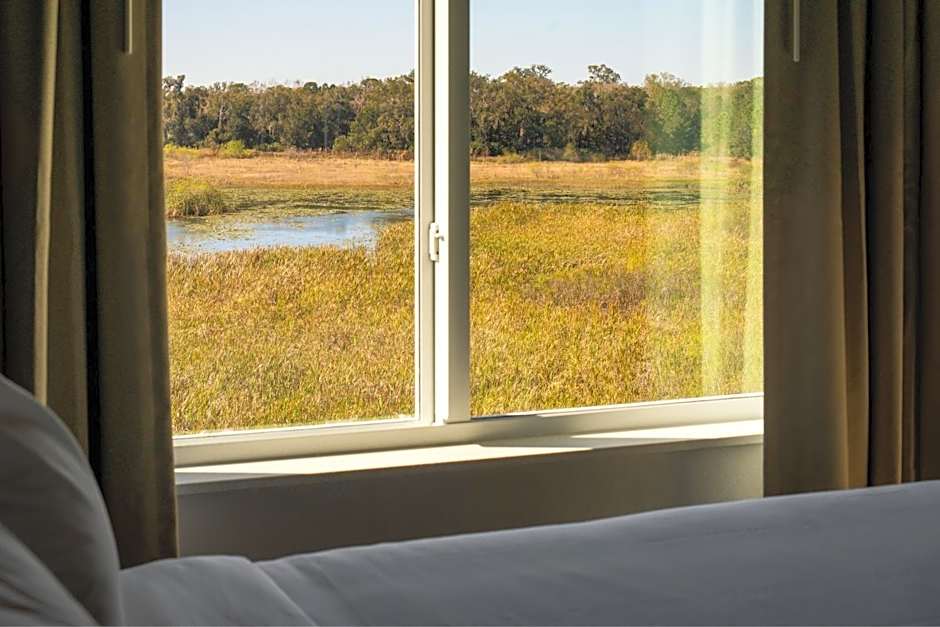 Residence Inn by Marriott Tampa Wesley Chapel