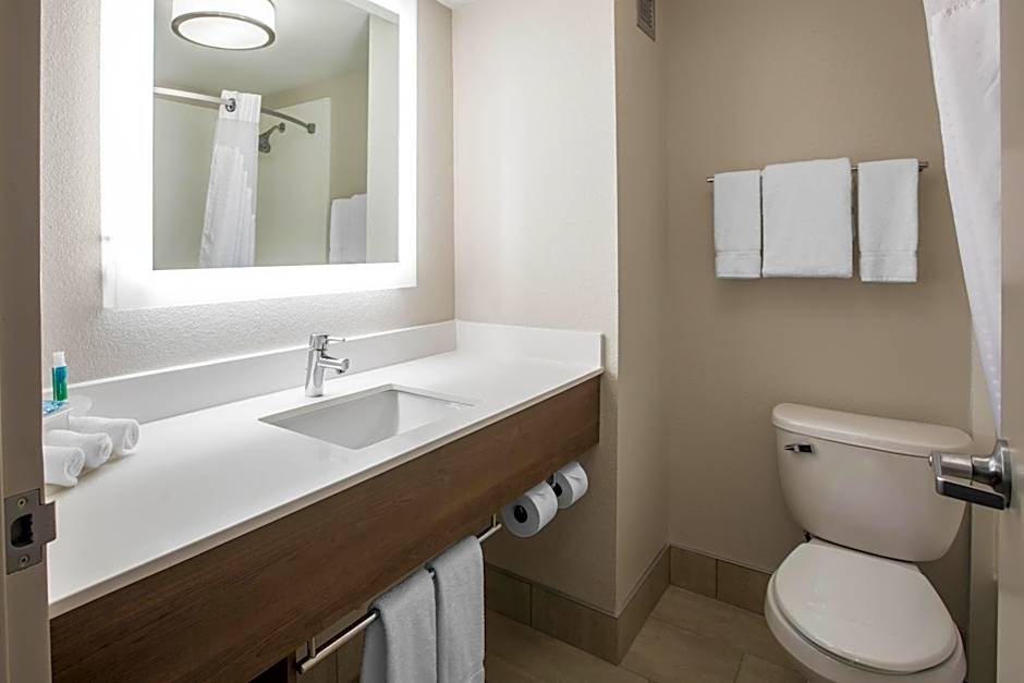 Holiday Inn Express & Suites Ludington By IHG