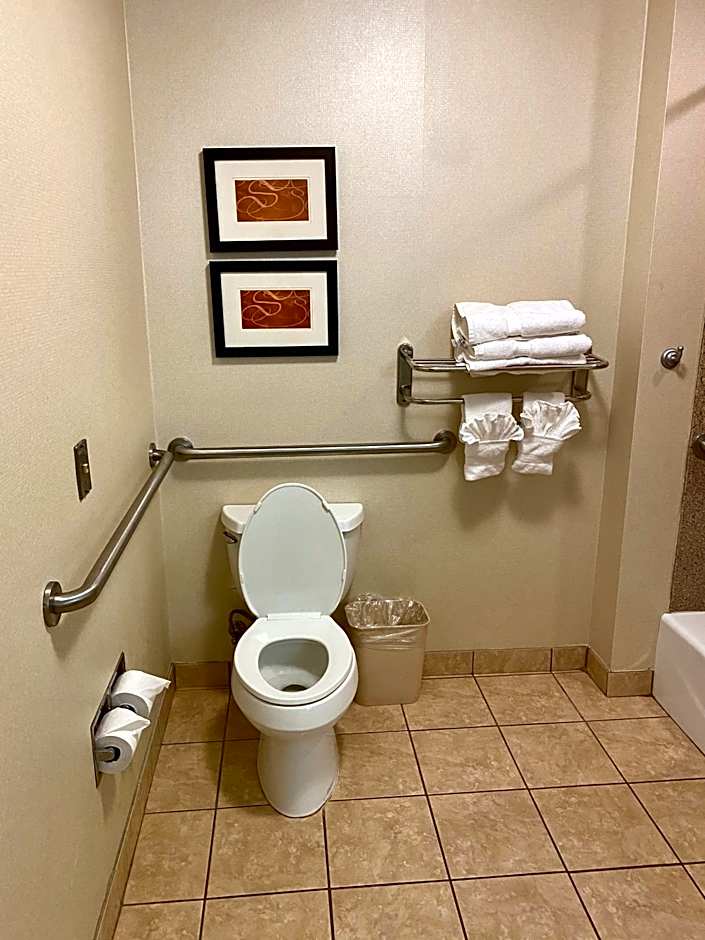 Comfort Suites Rock Hill Manchester Meadows Area