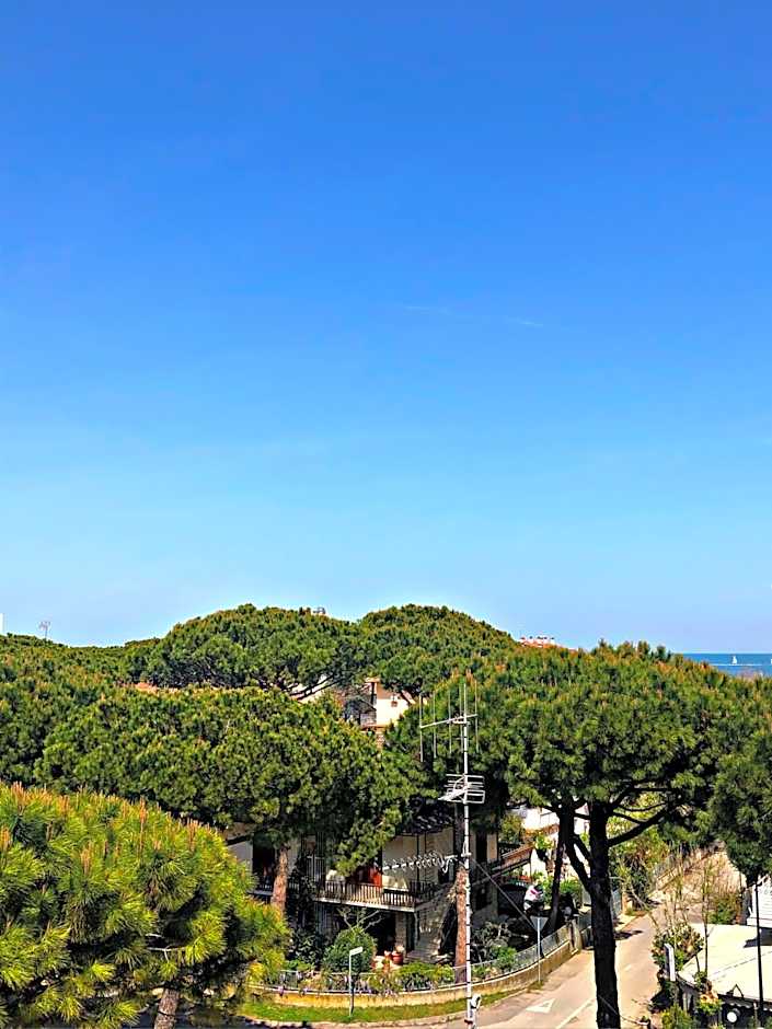 Hotel del Falco