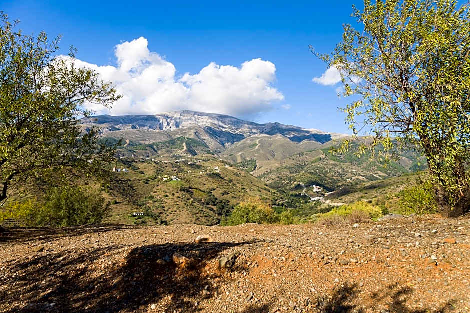 Bed&Breakfast Al Campanario