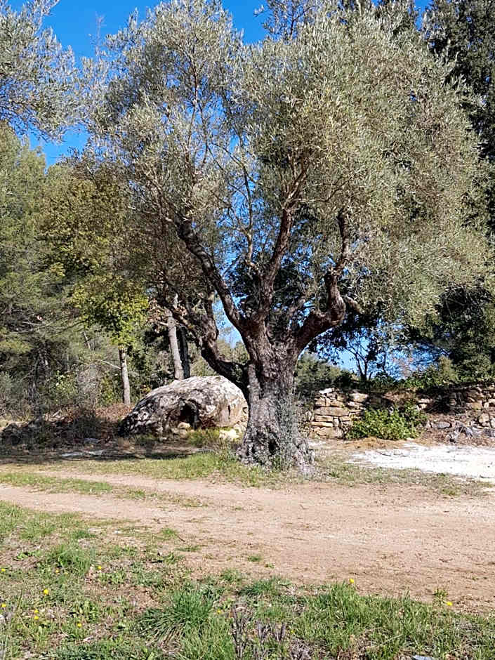 Gîtes Mas des rochers - Case bambou avec Spa