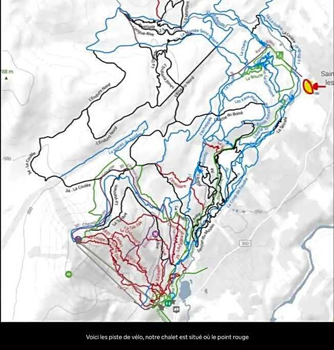 Initial / Solden / MSA