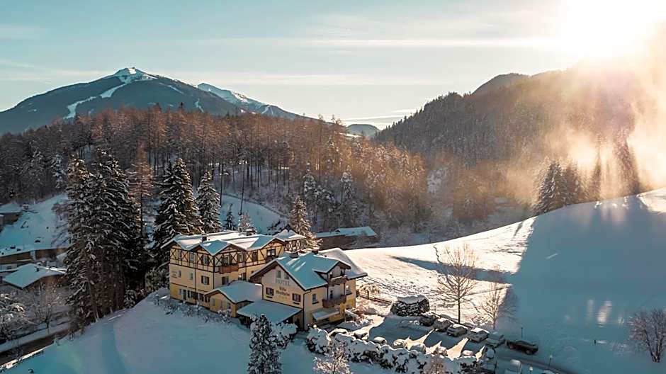 Hotel Villa Waldheim