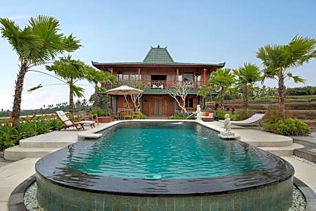 Ti Amo Bali