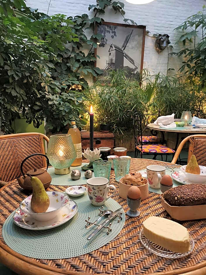 JARDIN D'HIVER CASSEL Suite de 70 m2