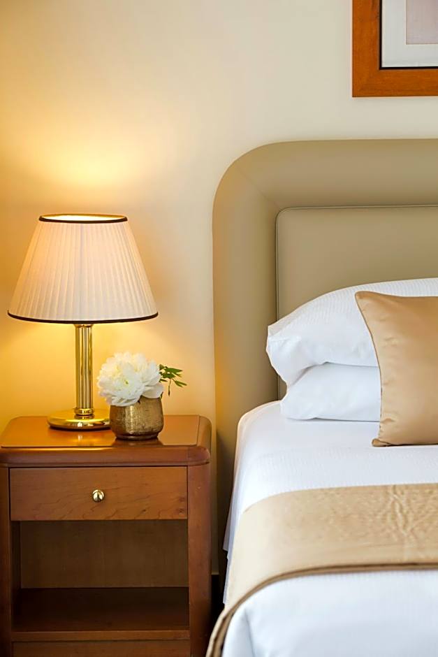 Starhotels Business Palace