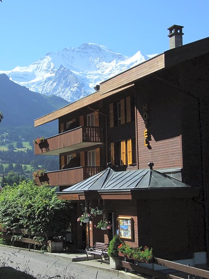 Hotel Bellevue-Wengen - Best view in town!