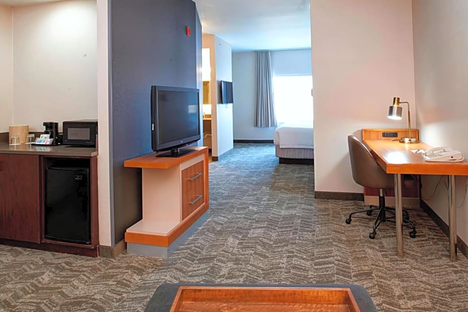 Springhill Suites by Marriott Frankenmuth