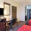 Comfort Inn & Suites Winnie