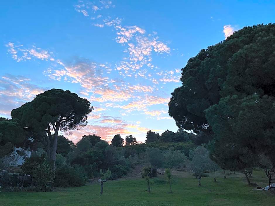 Maistrali Studios Skiathos
