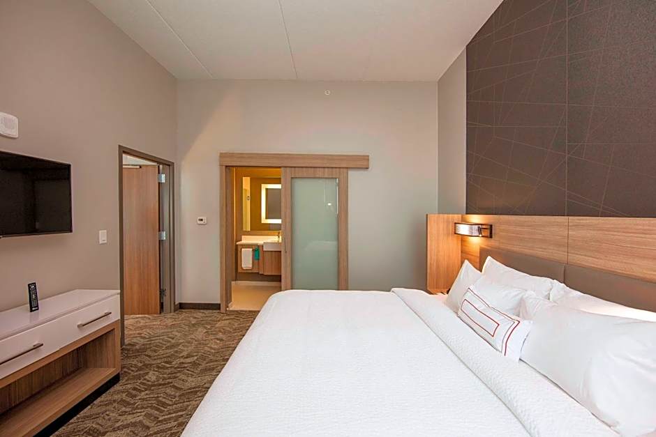 SpringHill Suites by Marriott Athens Downtown/University Area
