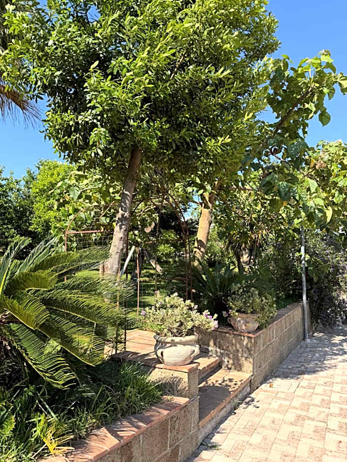 A Casa di nonna Emilia