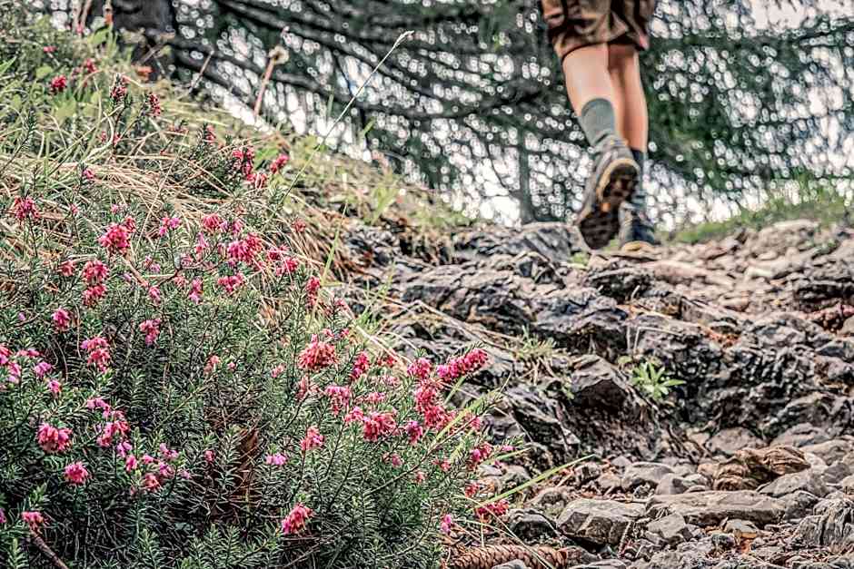 Boutique Hotel LechZeit