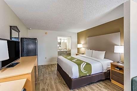 1 King Bed Non-Smoking