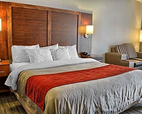 1 King Bed  Suite  No Smoking  Accessible Room