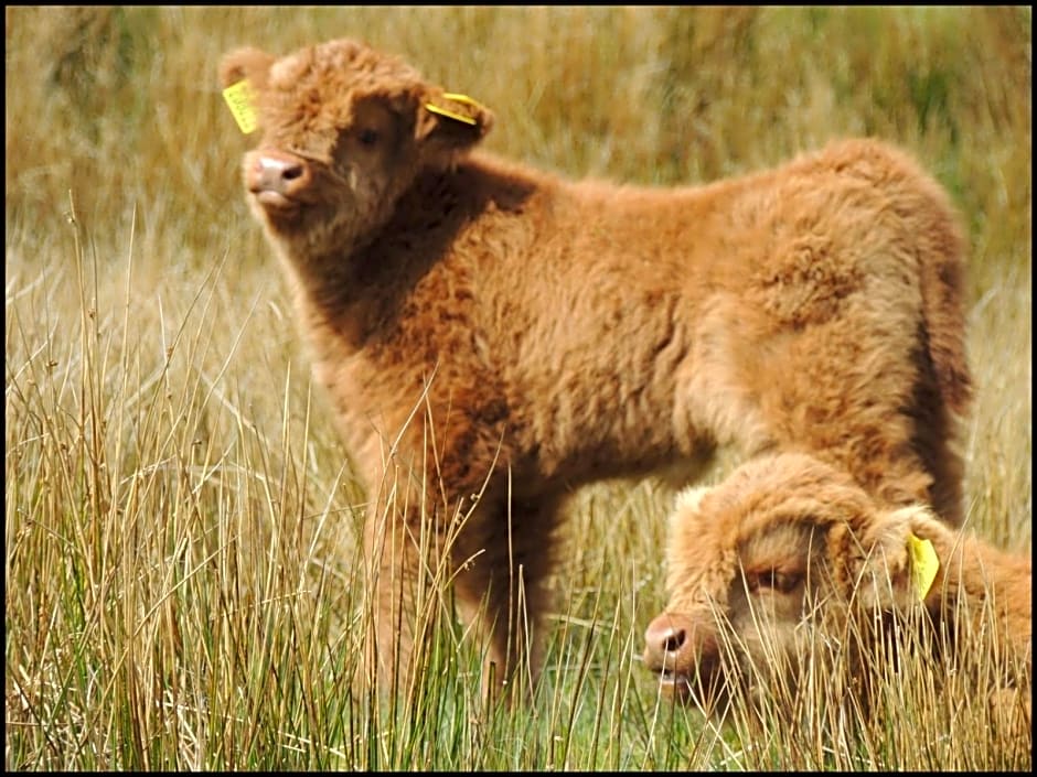 Garrison Farm with Hot Tub
