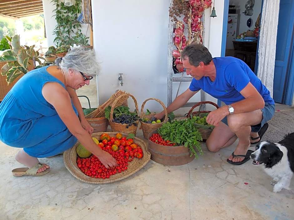 B&B Al Salvatore Di Lipari