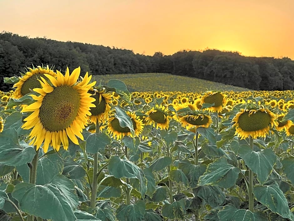 Chambres d'Hotes Raviere