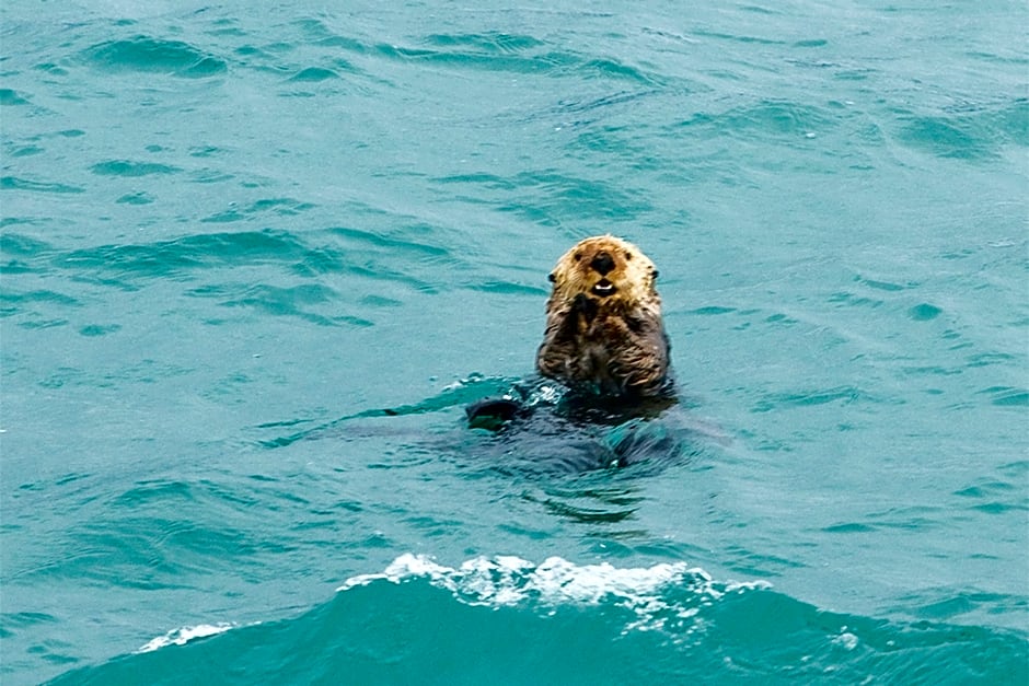 Glacier Bay Lodge