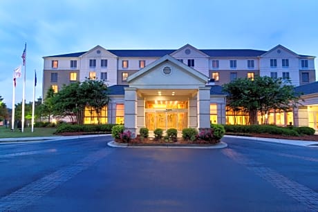 Hilton Garden Inn Atlanta East/Stonecrest