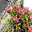 Hotel Simplon-Blick