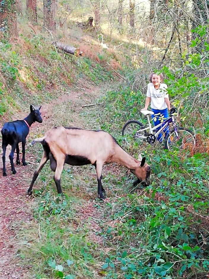Chambre d'hôte équestre Au petit bonheur