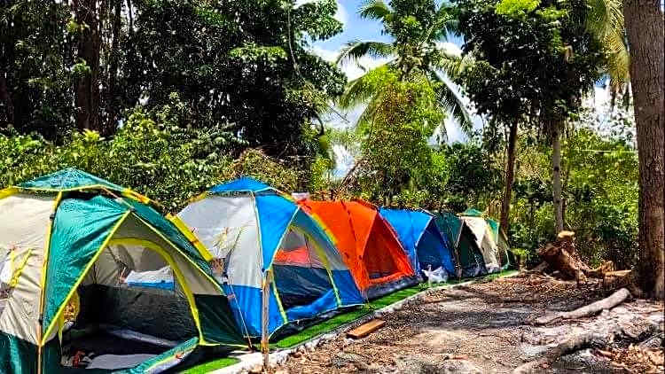 CampSarap Hostel & Resort