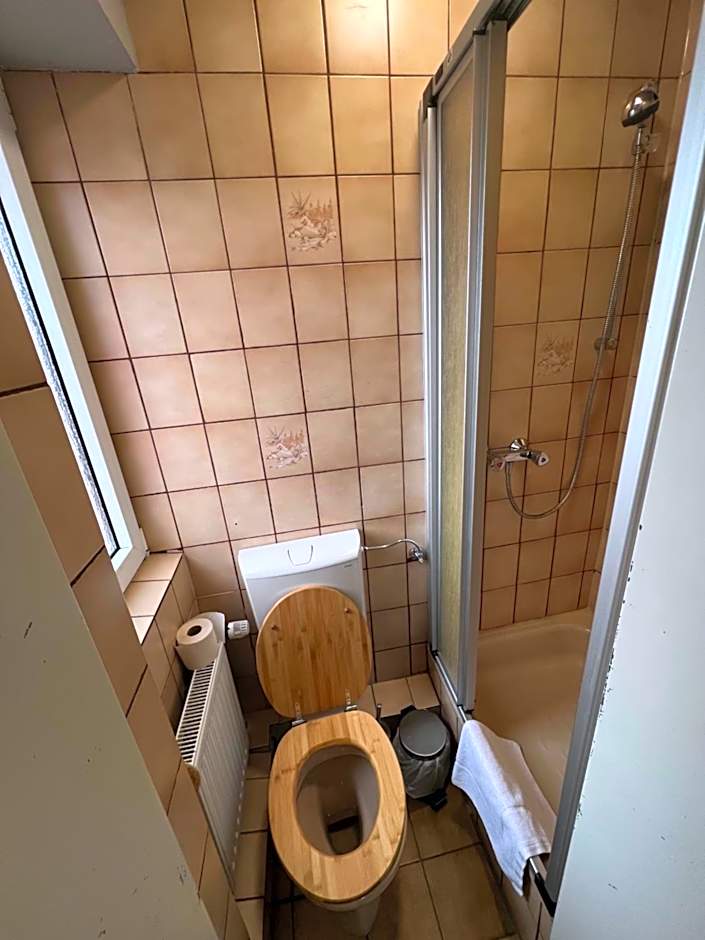 Green Seeblick Hotel am See