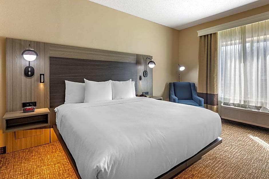 Comfort Inn & Suites North Dallas-Addison