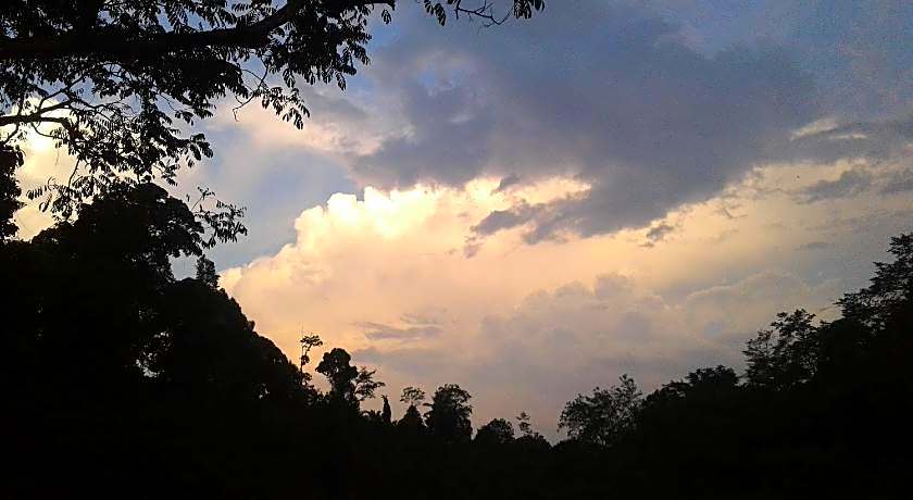 Green lodge tangkahan 