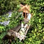The Korowai