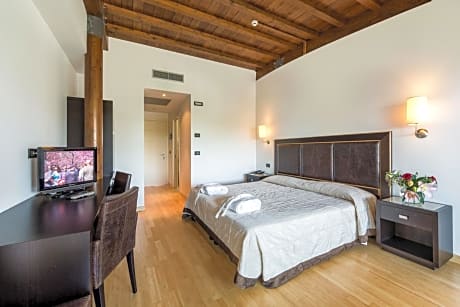 Superior Double or Twin Room with Terrace