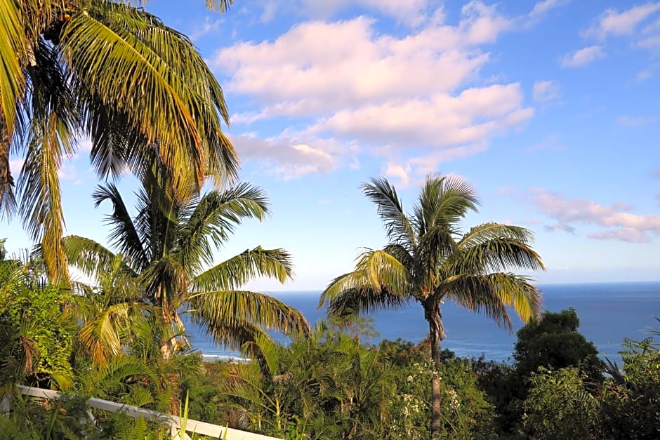 Saint Leu - Chambre 3 épis avec PDJ piscine en pleine nature vue mer - Bardzour