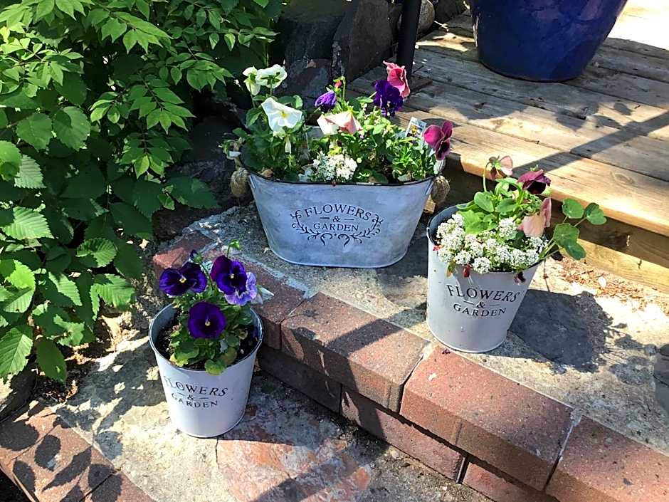 The Stella Rose B&B