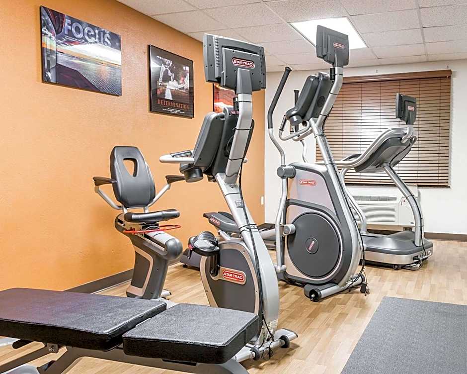 Comfort Inn Metro Airport Romulus