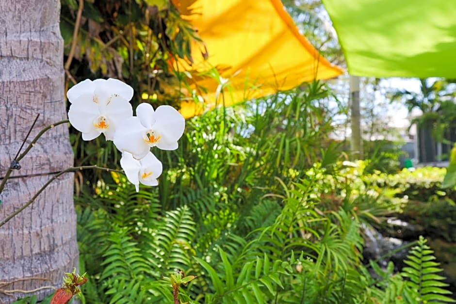 Almond Tree Inn - Adults Only