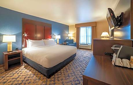 King Suite with Sofa Bed