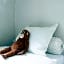 Bed end breakfast du centre