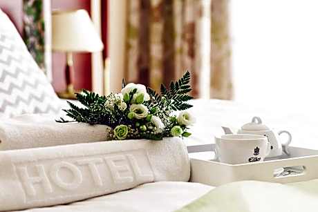 Double or Twin Room with Terrace