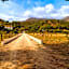 Finca Santa Teresa, Casa Granada
