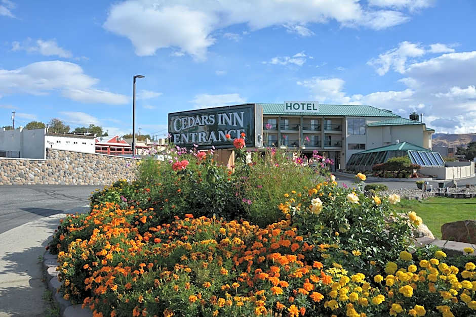 Cedars Inn