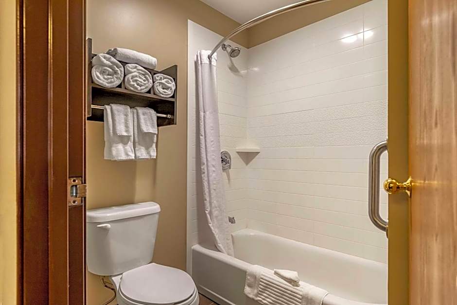 Comfort Inn Ludington near US-10