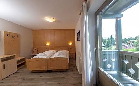 Double or Twin Room with Mountain View