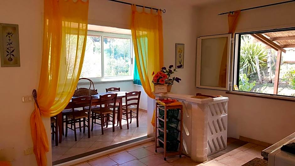 Residence Oasis