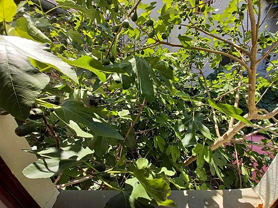 Gästehaus auf der Kunstmeile