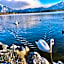 Hotel Fischer am See